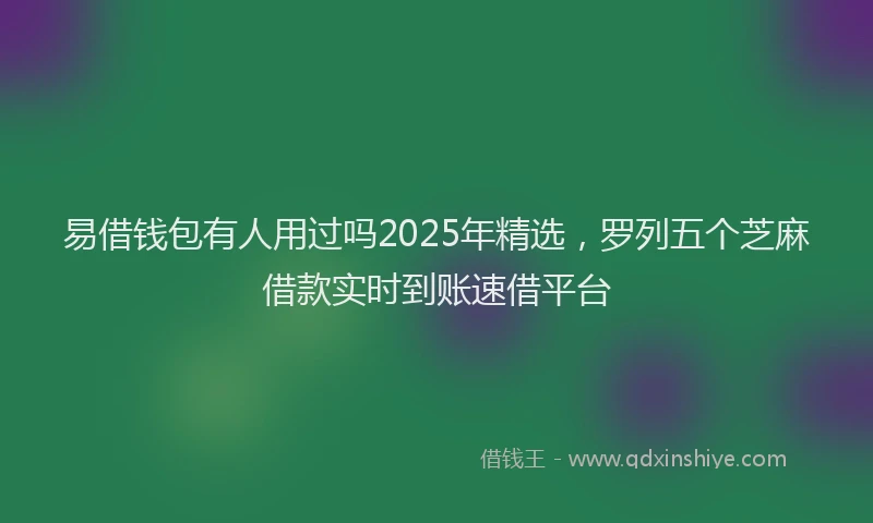 易借钱包有人用过吗2025年精选，罗列五个芝麻借款实时到账速借平台