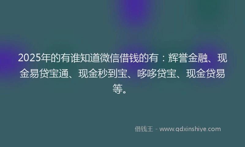 2025年的有谁知道微信借钱的有：辉誉金融、现金易贷宝通、现金秒到宝、哆哆贷宝、现金贷易等。
