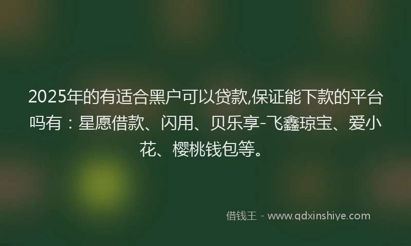 2025年的有适合黑户可以贷款,保证能下款的平台吗有：星愿借款、闪用、贝乐享-飞鑫琼宝、爱小花、樱桃钱包等。
