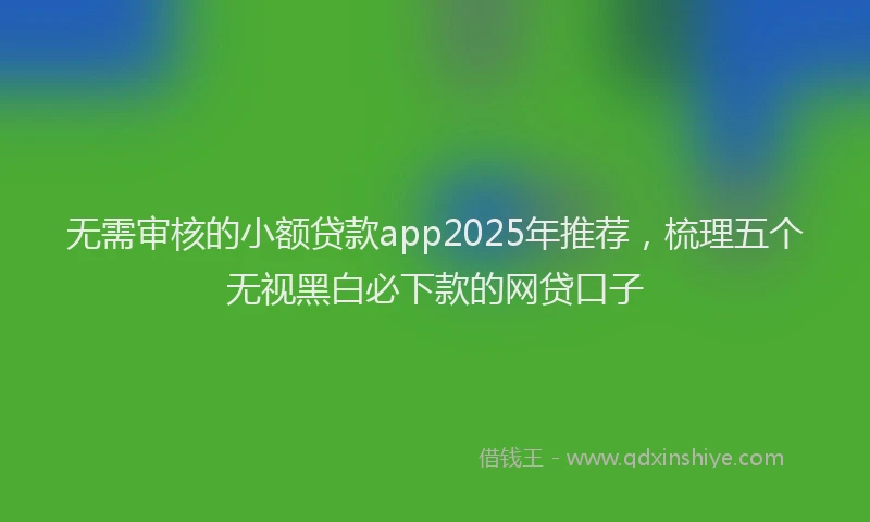 无需审核的小额贷款app2025年推荐，梳理五个无视黑白必下款的网贷口子