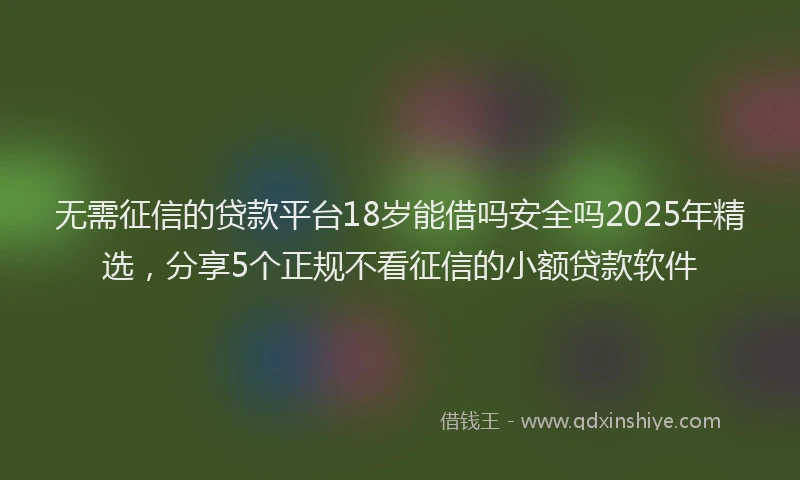 无需征信的贷款平台18岁能借吗安全吗2025年精选，分享5个正规不看征信的小额贷款软件