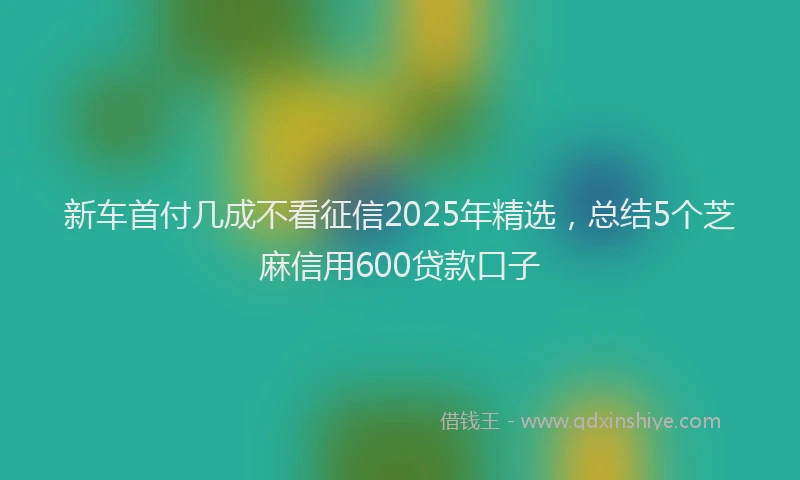 新车首付几成不看征信2025年精选，总结5个芝麻信用600贷款口子