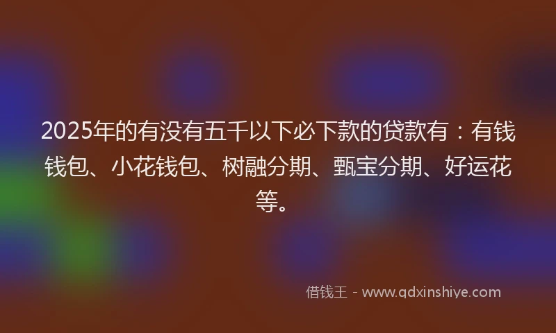 2025年的有没有五千以下必下款的贷款有：有钱钱包、小花钱包、树融分期、甄宝分期、好运花等。