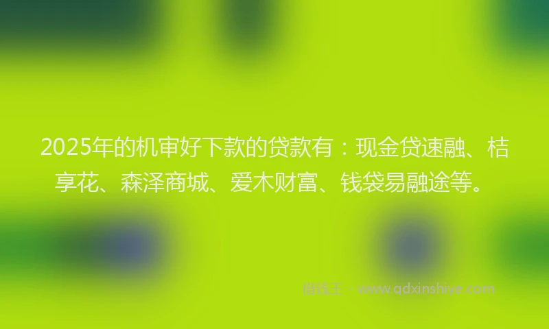 2025年的机审好下款的贷款有：现金贷速融、桔享花、森泽商城、爱木财富、钱袋易融途等。