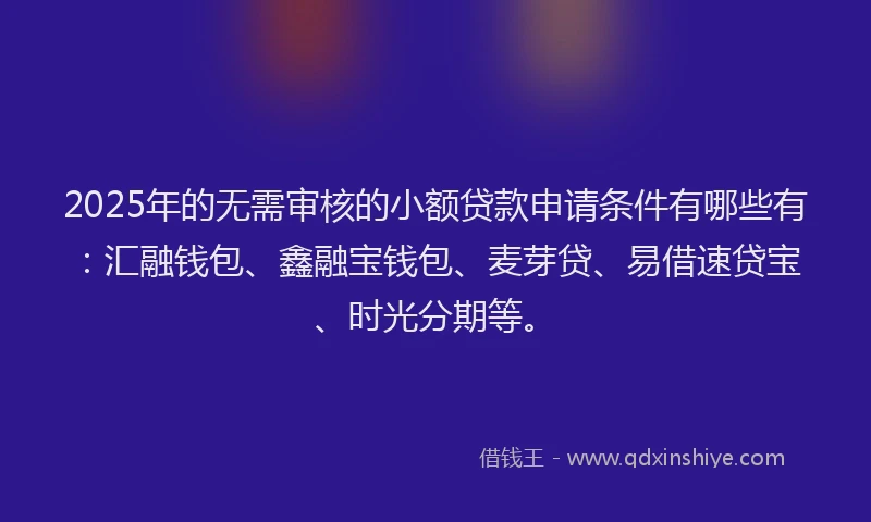 2025年的无需审核的小额贷款申请条件有哪些有：汇融钱包、鑫融宝钱包、麦芽贷、易借速贷宝、时光分期等。