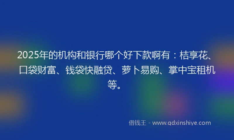 2025年的机构和银行哪个好下款啊有：桔享花、口袋财富、钱袋快融贷、萝卜易购、掌中宝租机等。