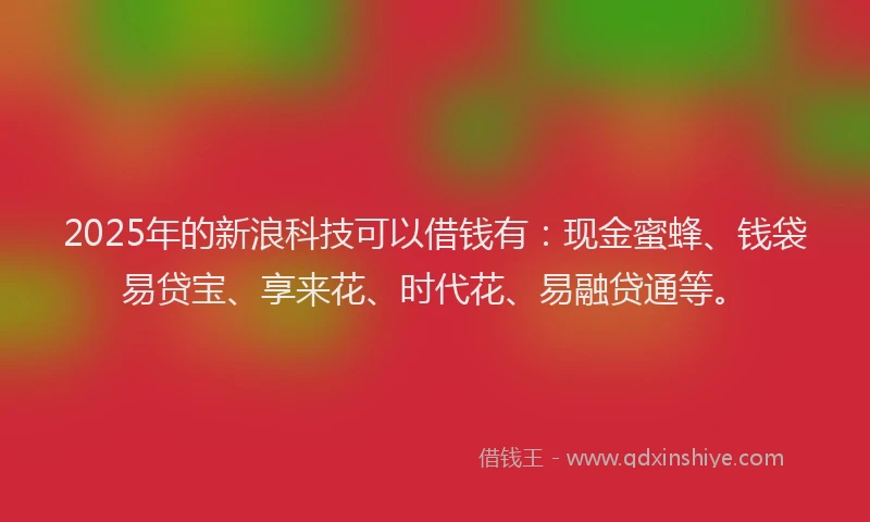 2025年的新浪科技可以借钱有：现金蜜蜂、钱袋易贷宝、享来花、时代花、易融贷通等。