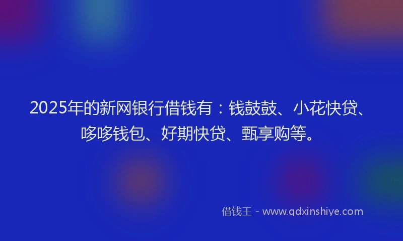 2025年的新网银行借钱有：钱鼓鼓、小花快贷、哆哆钱包、好期快贷、甄享购等。