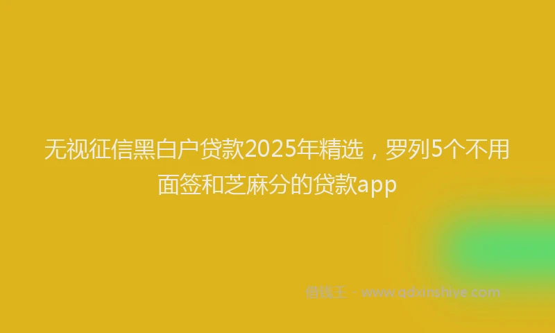 无视征信黑白户贷款2025年精选，罗列5个不用面签和芝麻分的贷款app