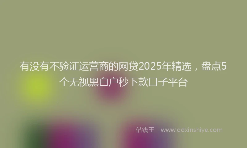 有没有不验证运营商的网贷2025年精选，盘点5个无视黑白户秒下款口子平台