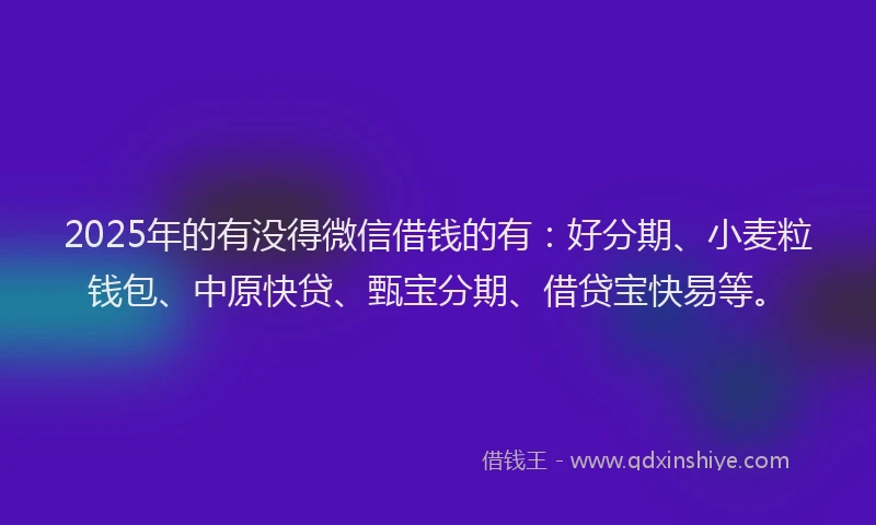 2025年的有没得微信借钱的有：好分期、小麦粒钱包、中原快贷、甄宝分期、借贷宝快易等。