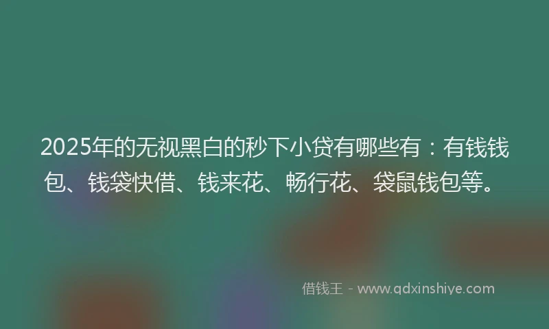 2025年的无视黑白的秒下小贷有哪些有：有钱钱包、钱袋快借、钱来花、畅行花、袋鼠钱包等。