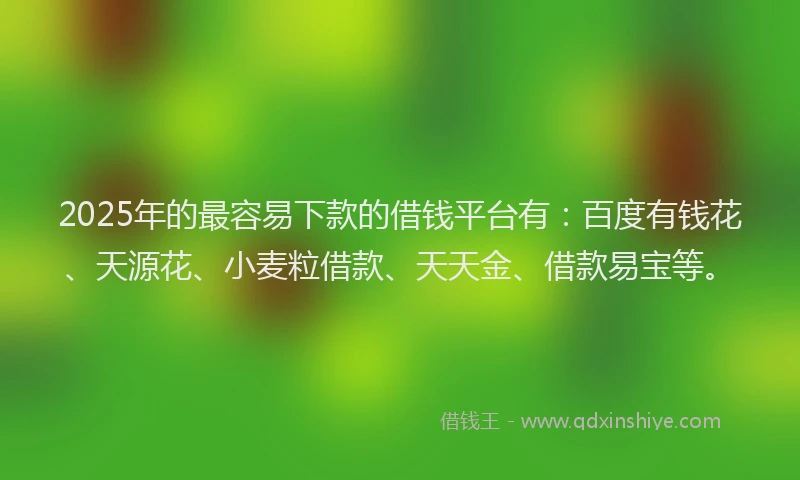 2025年的最容易下款的借钱平台有：百度有钱花、天源花、小麦粒借款、天天金、借款易宝等。