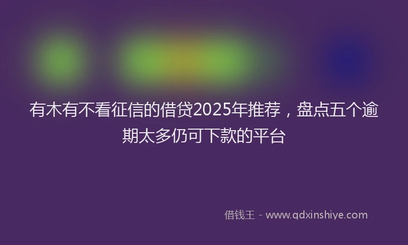有木有不看征信的借贷2025年推荐，盘点五个逾期太多仍可下款的平台