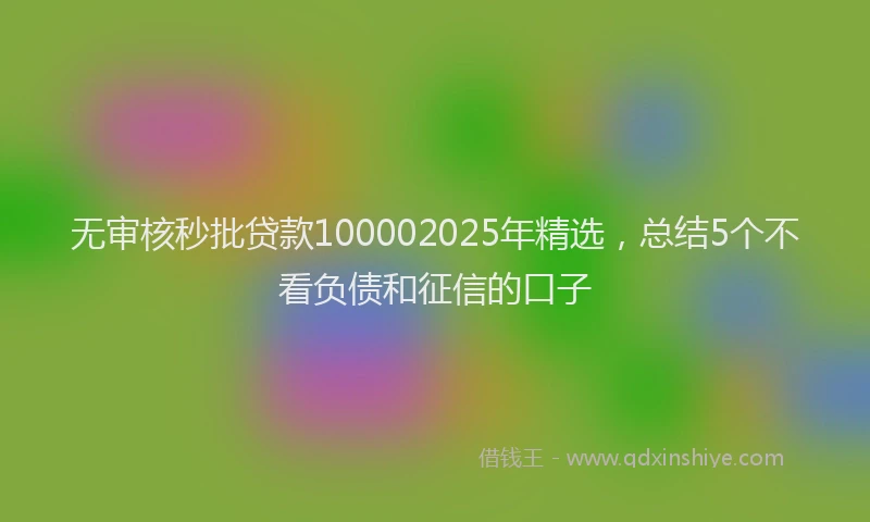无审核秒批贷款100002025年精选，总结5个不看负债和征信的口子