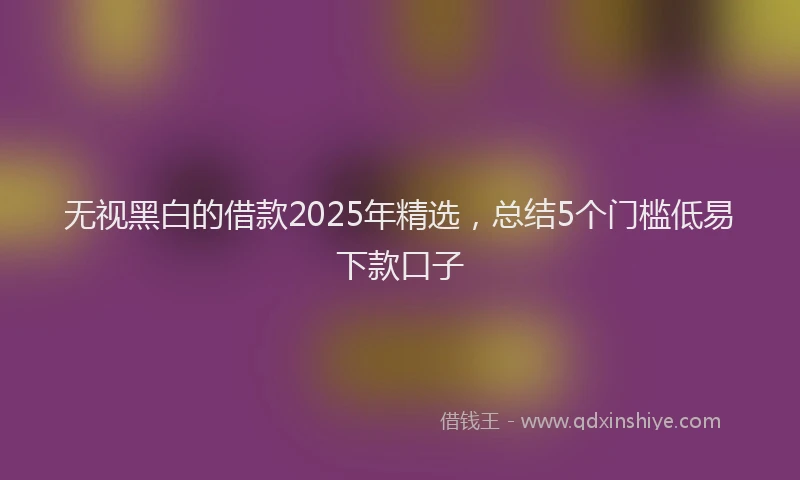 无视黑白的借款2025年精选，总结5个门槛低易下款口子