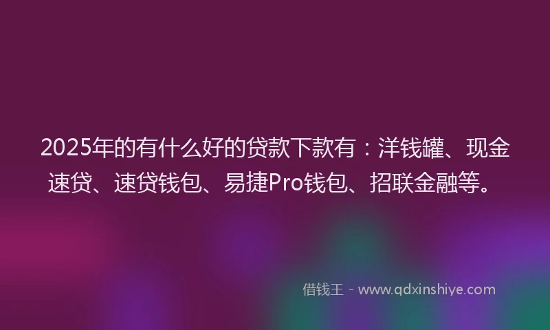 2025年的有什么好的贷款下款有：洋钱罐、现金速贷、速贷钱包、易捷Pro钱包、招联金融等。