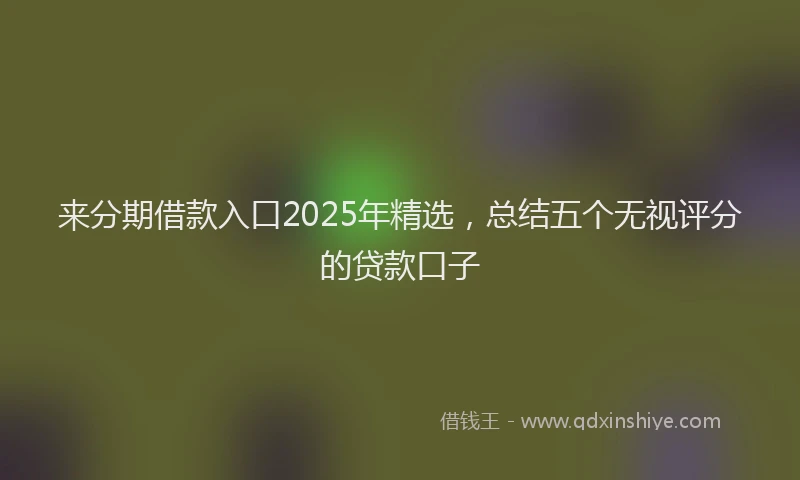 来分期借款入口2025年精选，总结五个无视评分的贷款口子