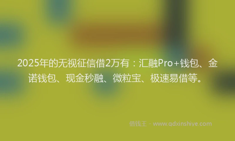 2025年的无视征信借2万有：汇融Pro+钱包、金诺钱包、现金秒融、微粒宝、极速易借等。