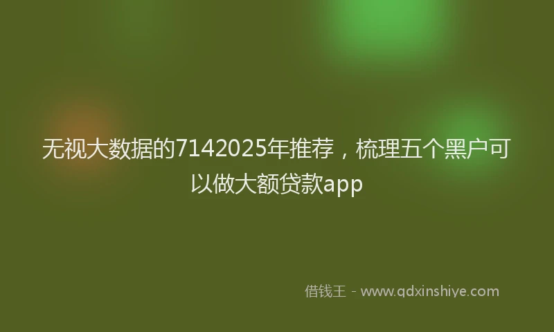 无视大数据的7142025年推荐，梳理五个黑户可以做大额贷款app