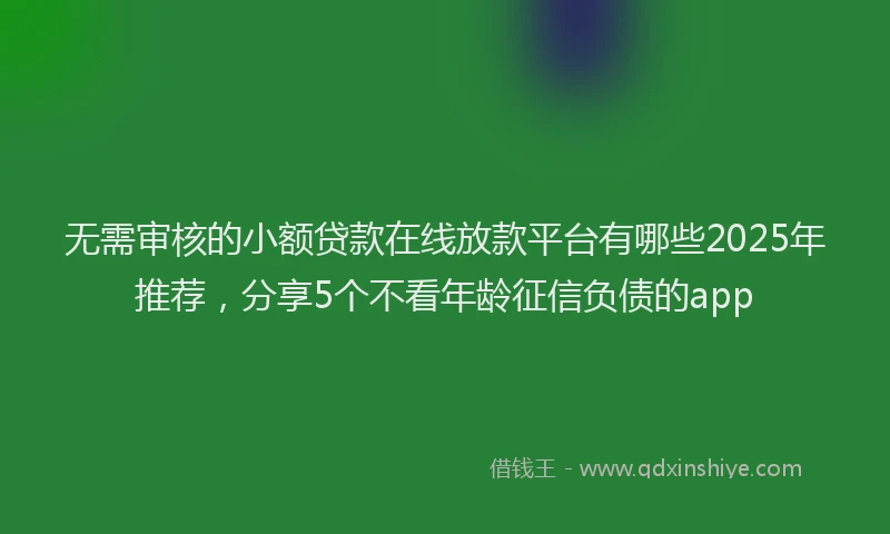 无需审核的小额贷款在线放款平台有哪些2025年推荐，分享5个不看年龄征信负债的app