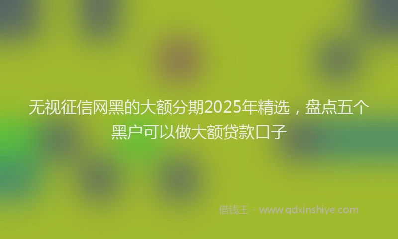 无视征信网黑的大额分期2025年精选，盘点五个黑户可以做大额贷款口子