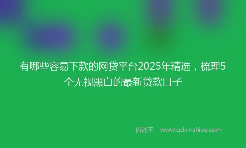 有哪些容易下款的网贷平台2025年精选，梳理5个无视黑白的最新贷款口子