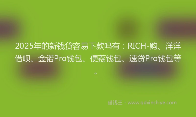 2025年的新钱贷容易下款吗有：RICH-购、洋洋借呗、金诺Pro钱包、便荔钱包、速贷Pro钱包等。