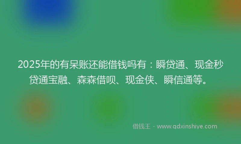 2025年的有呆账还能借钱吗有:瞬贷通、现金秒贷通宝融、森森借呗、现金侠、瞬信通等。