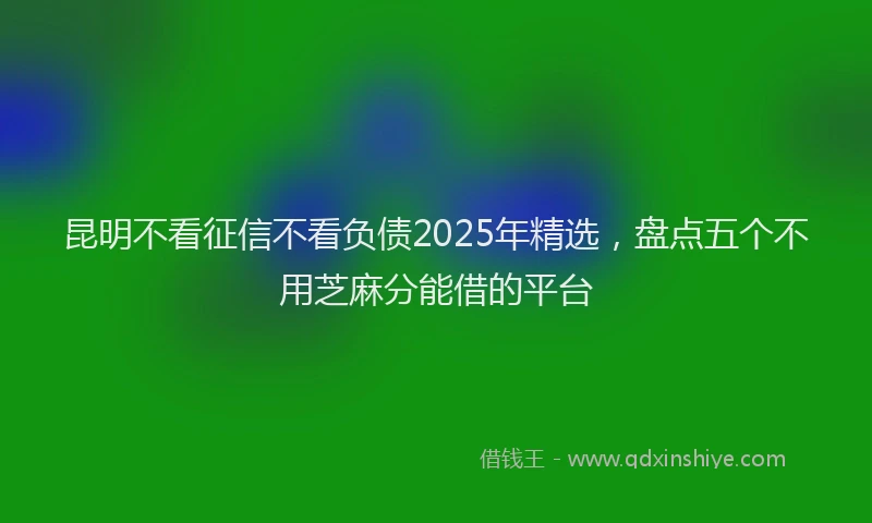 昆明不看征信不看负债2025年精选，盘点五个不用芝麻分能借的平台