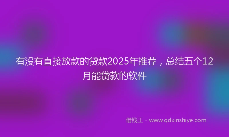 有没有直接放款的贷款2025年推荐，总结五个12月能贷款的软件