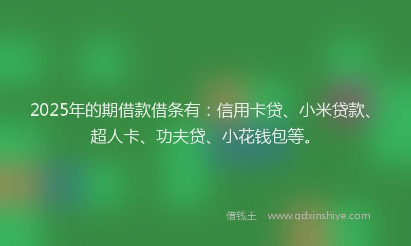 2025年的期借款借条有：信用卡贷、小米贷款、超人卡、功夫贷、小花钱包等。