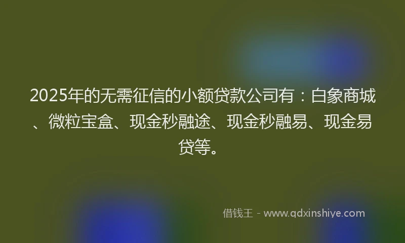 2025年的无需征信的小额贷款公司有：白象商城、微粒宝盒、现金秒融途、现金秒融易、现金易贷等。