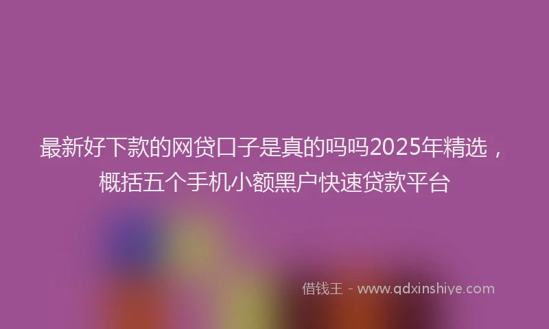 最新好下款的网贷口子是真的吗吗2025年精选，概括五个手机小额黑户快速贷款平台