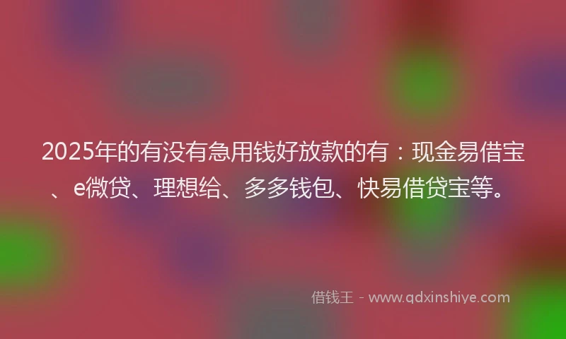 2025年的有没有急用钱好放款的有：现金易借宝、e微贷、理想给、多多钱包、快易借贷宝等。