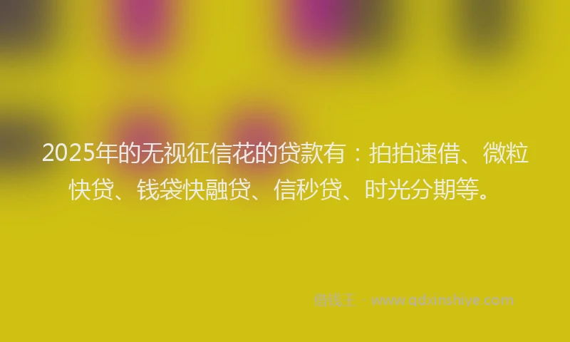 2025年的无视征信花的贷款有：拍拍速借、微粒快贷、钱袋快融贷、信秒贷、时光分期等。