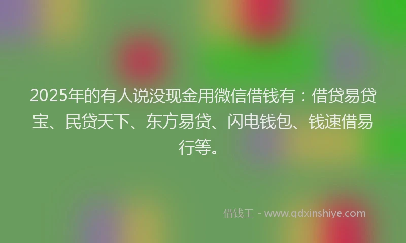 2025年的有人说没现金用微信借钱有：借贷易贷宝、民贷天下、东方易贷、闪电钱包、钱速借易行等。