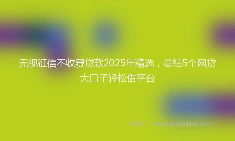 无视征信不收费贷款2025年精选，总结5个网贷大口子轻松借平台
