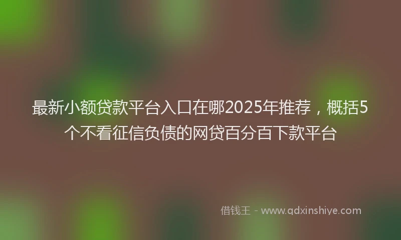 最新小额贷款平台入口在哪2025年推荐，概括5个不看征信负债的网贷百分百下款平台