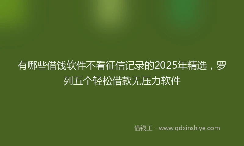 有哪些借钱软件不看征信记录的2025年精选，罗列五个轻松借款无压力软件