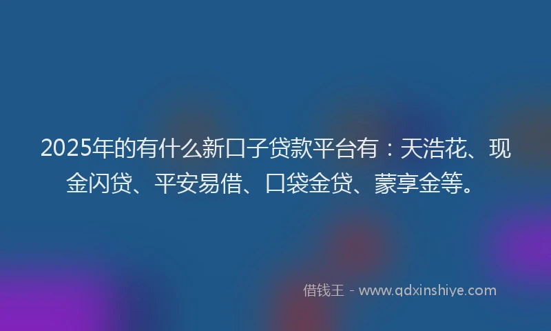 2025年的有什么新口子贷款平台有：天浩花、现金闪贷、平安易借、口袋金贷、蒙享金等。