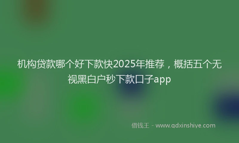机构贷款哪个好下款快2025年推荐，概括五个无视黑白户秒下款口子app