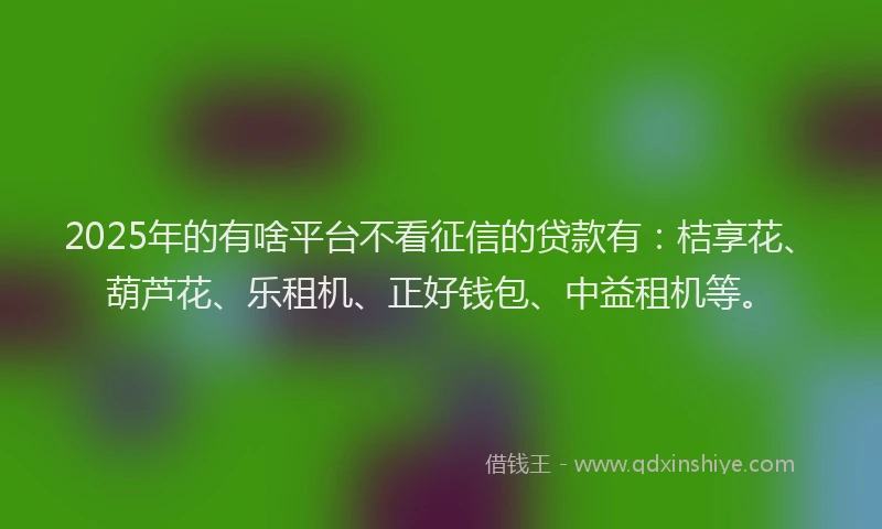 2025年的有啥平台不看征信的贷款有：桔享花、葫芦花、乐租机、正好钱包、中益租机等。