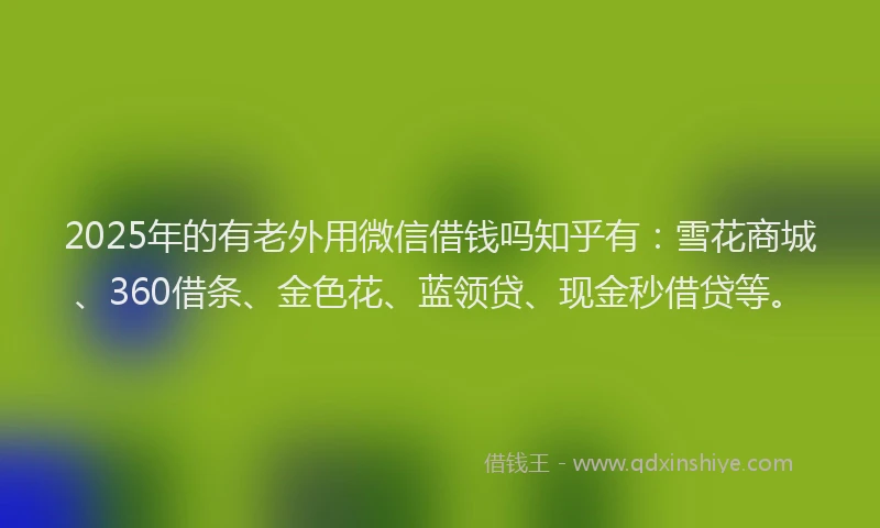 2025年的有老外用微信借钱吗知乎有：雪花商城、360借条、金色花、蓝领贷、现金秒借贷等。