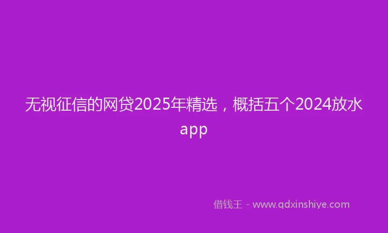 无视征信的网贷2025年精选，概括五个2024放水app