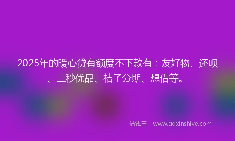 2025年的暖心贷有额度不下款有：友好物、还呗、三秒优品、桔子分期、想借等。
