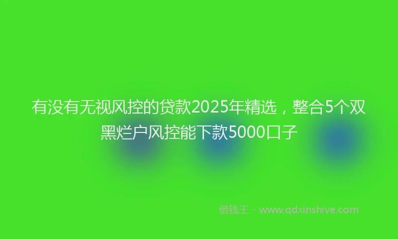 有没有无视风控的贷款2025年精选，整合5个双黑烂户风控能下款5000口子