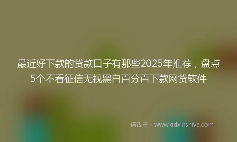 最近好下款的贷款口子有那些2025年推荐，盘点5个不看征信无视黑白百分百下款网贷软件
