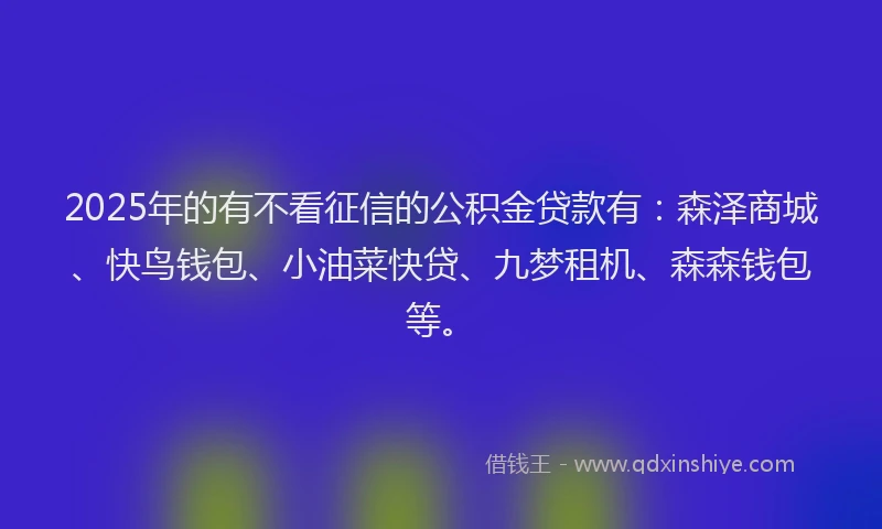 2025年的有不看征信的公积金贷款有：森泽商城、快鸟钱包、小油菜快贷、九梦租机、森森钱包等。