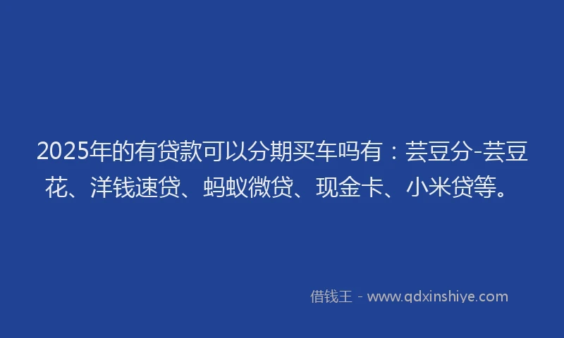2025年的有贷款可以分期买车吗有：芸豆分-芸豆花、洋钱速贷、蚂蚁微贷、现金卡、小米贷等。